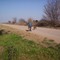 Camino a Los Cuatro Caminos