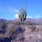 En algún lugar de Catamarca