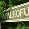 Napaleofú