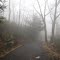 Upper Awosting Carriage Road in Fog