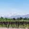 Bodega Nieto Senetiner