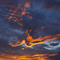 Sonnenuntergang - puesta de sol - Lago Barreales