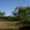 al borde de la selva paranaense