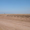 Sembrado de Caña de Azucar