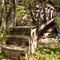FLT M16 1.7 mi - Truss bridge, black locust, 50' long, 2.5' wide, 5 1x6 deck boards, under are 4x5 cross pieces 2' apart, under are 4x7 stringers, many 6x6 sills, trusses are 3x4s with 4x7s atop