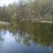 a pond by a campsite in the finger lakes national forest