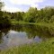 FLT I1 1.9 mi - S Burnt Hill Wildlife Pond