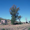 Ex Estación Ferroviaria de Choele Choel
