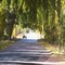 camino las chacras
