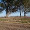 Zona rural entre San Marcos y Murphy - Sta. Fe