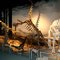 Dinosaurios Patagonicos en el Mef de Trelew