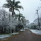 Nevada en San Salvador de Jujuy - Bº Alto la Viña