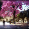 Plaza 25 de Mayo