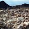 Cantos rodados de origen glacial – Camino a las Termas – Fiambalá - Catamarca