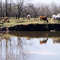 RIO ARECO