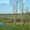 Campos - S. Antonio de Areco