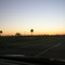 Palmares a la puesta del sol en Entre Ríos / Lautaro