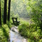 Bench on West Branch of the Rocky River