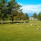 St. Albert Public Cemetery