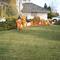 Pumkin Patch