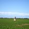 Aljibe Solitario