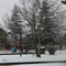 plaza olmos nevada