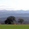 Trigo y sierras