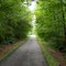 South to Hustead Road
