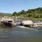 Rio Soto, Villa de Soto, Córdoba, Argentina.CJ