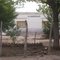 Escuela Juan Recalde, Paloma Pozo