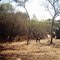 REF 101 CAMPO EL CENCERRO 4