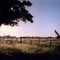 Campo en Monte Grande.