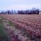 Chuckery, Ohio