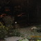 desde mi casa, es de noche y sigue nevando!! què lindo!