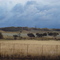 Tormenta