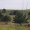 Vista del campo