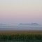 Niebla al amanecer