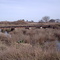 Puente ferroviario en Loma Negra, Las Flores - Vista: Sudeste