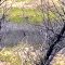 1990 Geese Rd, Cambridge, OH