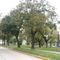 Tilos de Plaza Italia