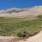 Maravilloso paisaje "Ruta P222" camino hacia "Valle Hermoso" "Cordillera de los Andes" "Malargüe" "Mendoza" "Arg"