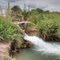 River of the Los Reyes Mill