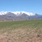 "Barrio San Alberto" y "Cordillera de los Andes"   "Ruta P.39"   "Uspallata"    "Mendoza"   "Arg"