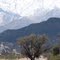 Santa Florentina - Chilecito (lo nevado es el Famatina)
