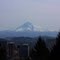Mt. Hood