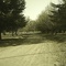 Parque Loinas
