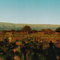 Atardecer - Sierra de los Comechingones