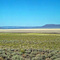 Alvord Desert (panorama)