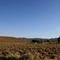 Lonely Ranch..