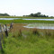 Campo en Caa Cati, Corrientes.